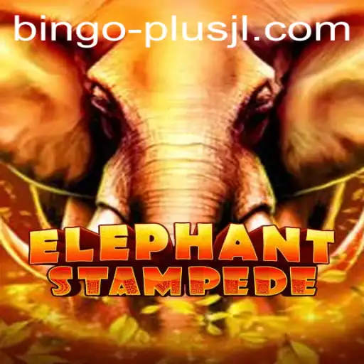 Exploring the Wild Adventure of ElephantStampede and BINGO PLUS